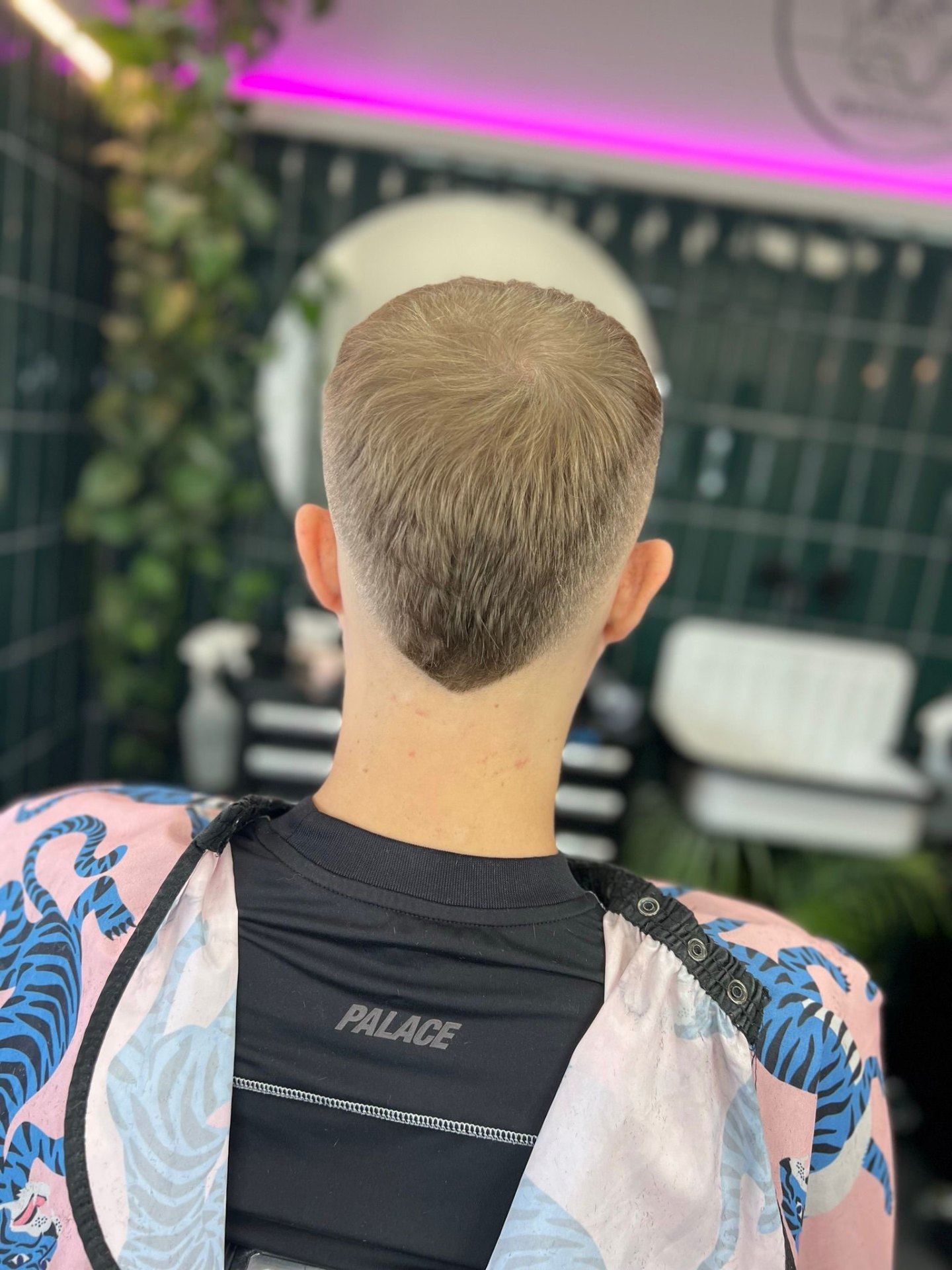 Haircut