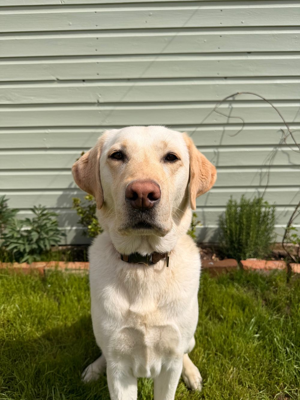 Doug
